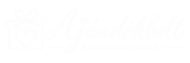 png trans logó